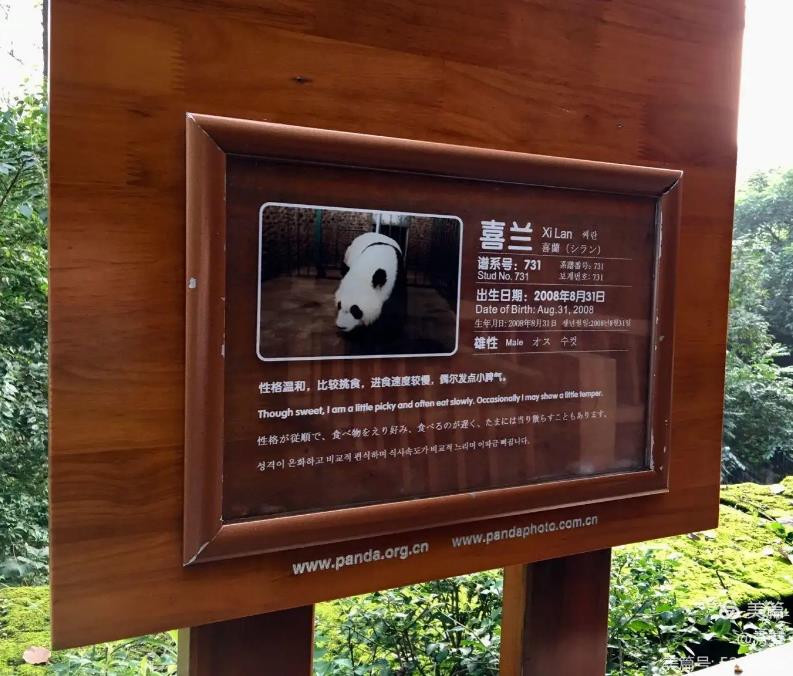 動物名稱標識牌